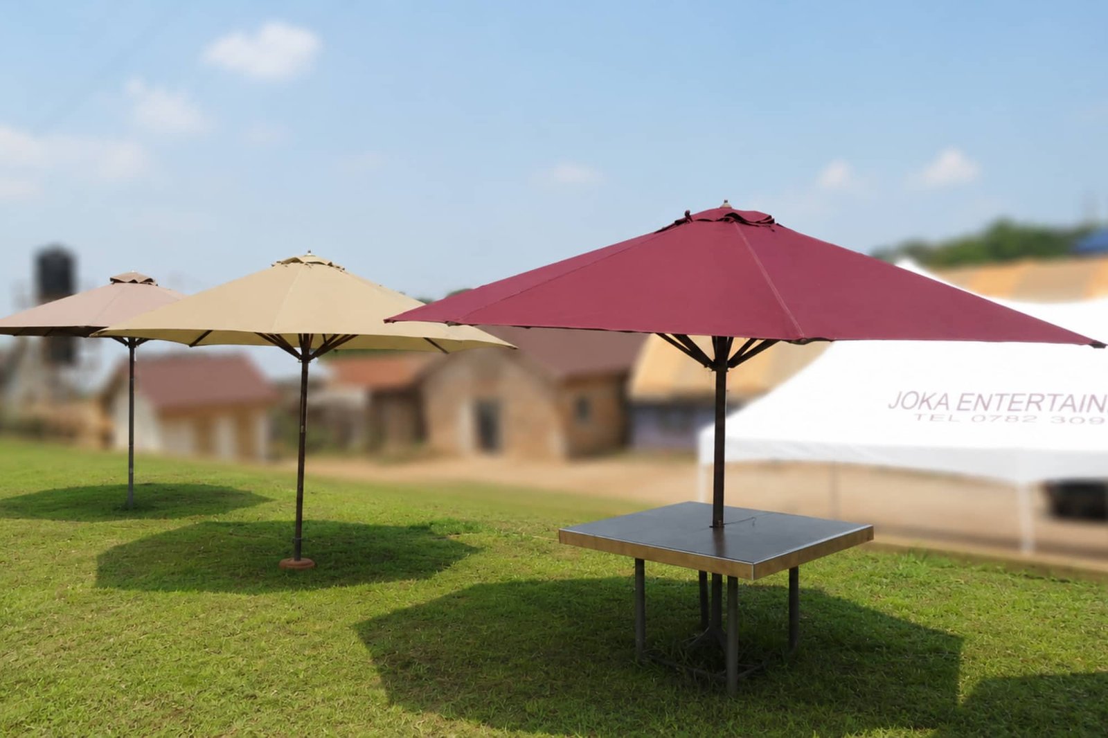 Umbrellas